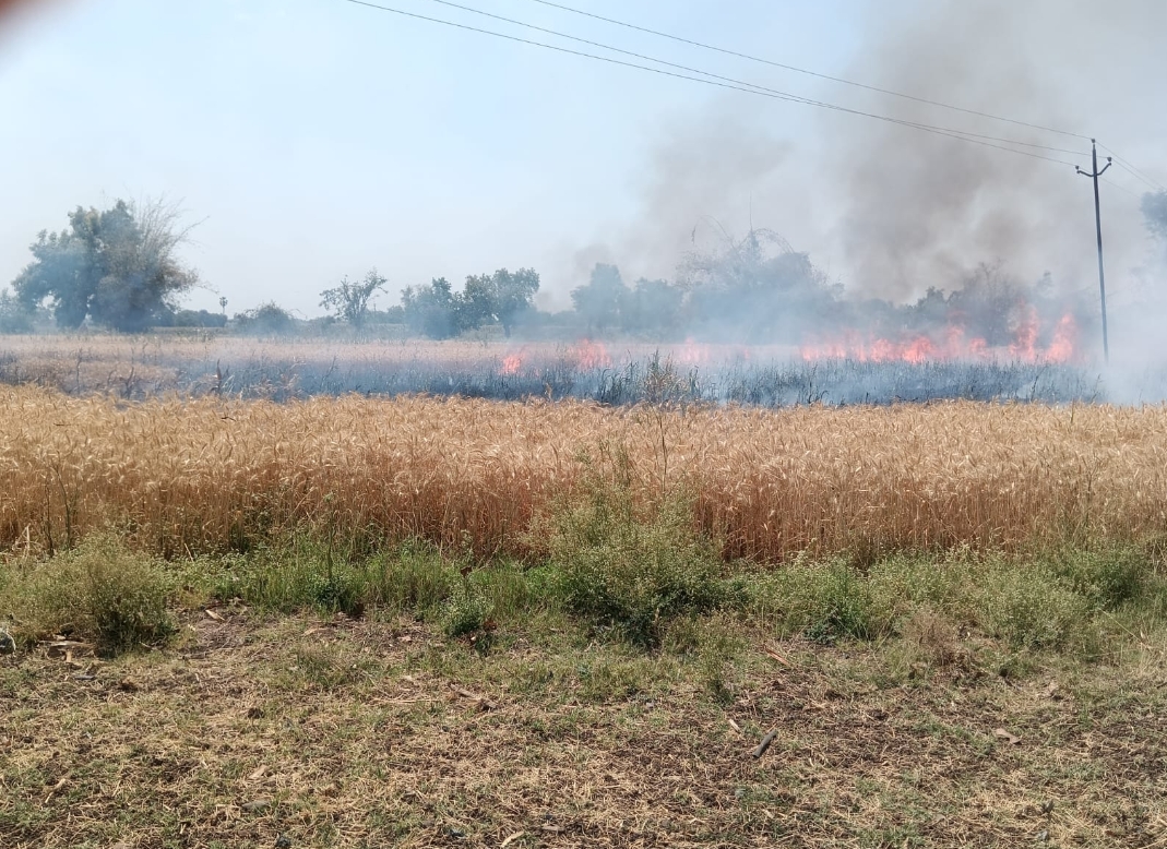 *एरंडोल शेतशिवारातील वीजेच्या तारांमध्ये स्पार्कींगमुळे गव्हाला आग लागून ५० हजारांचा गहू जळून खाक………!*  *प्रशासनाकडून नुकसान भरपाईची शेतकऱ्याची मागणी…………!*
